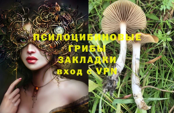 скорость Арсеньев