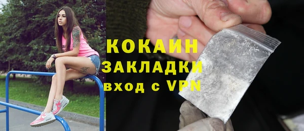 твердый Аркадак
