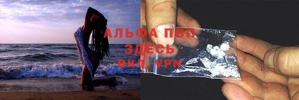твердый Аркадак