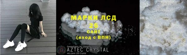 твердый Аркадак