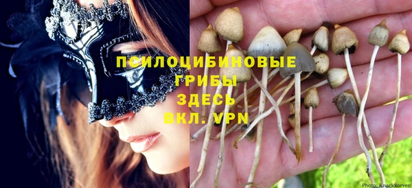 скорость Арсеньев