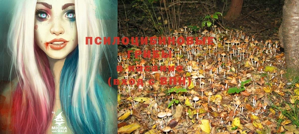 скорость Арсеньев